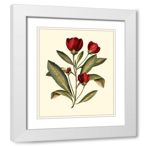 Jennas Flowers IV White Modern Wood Framed Art Print with Double Matting by Sellier