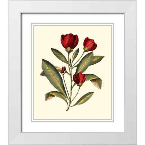 Jennas Flowers IV White Modern Wood Framed Art Print with Double Matting by Sellier