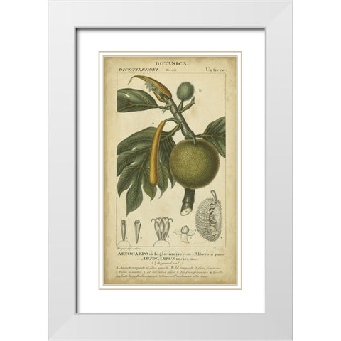 Exotic Botanica IV White Modern Wood Framed Art Print with Double Matting by Turpin