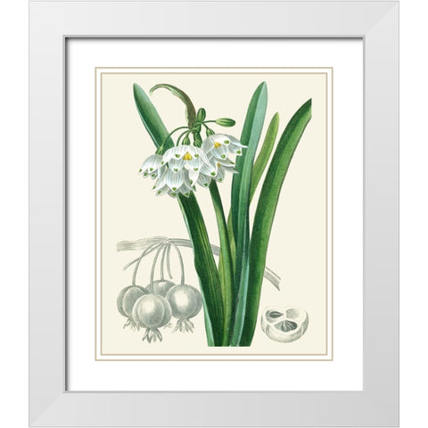 Les Fleurs Blanches I White Modern Wood Framed Art Print with Double Matting by Unknown