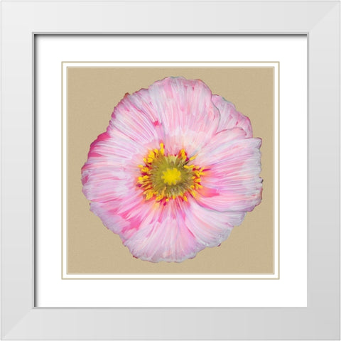 Poppy Blossom III White Modern Wood Framed Art Print with Double Matting by Ludwig, Alicia