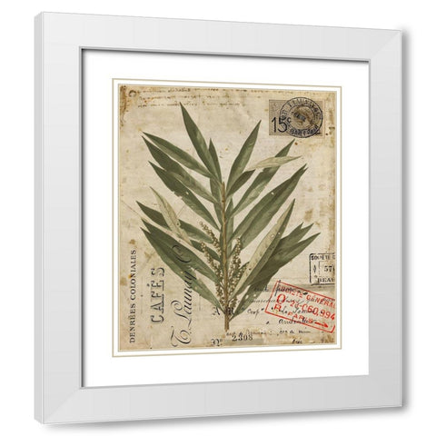 Vintage Natures Greenery I White Modern Wood Framed Art Print with Double Matting by Vision Studio