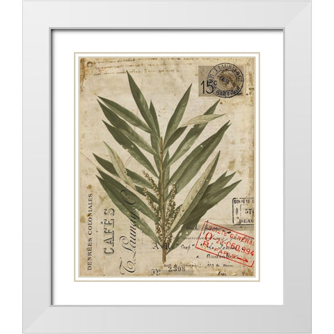 Vintage Natures Greenery I White Modern Wood Framed Art Print with Double Matting by Vision Studio