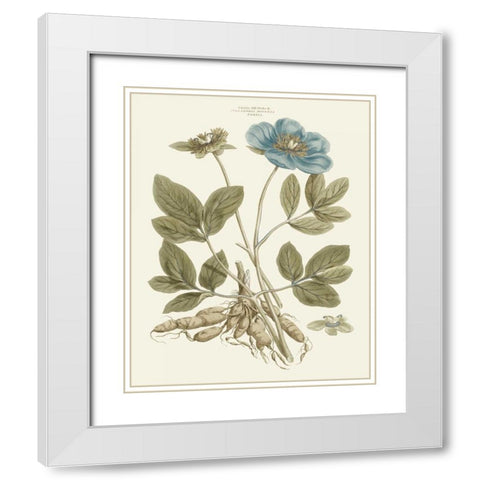 Bashful Blue Florals I White Modern Wood Framed Art Print with Double Matting by Miller, John