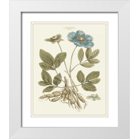 Bashful Blue Florals I White Modern Wood Framed Art Print with Double Matting by Miller, John