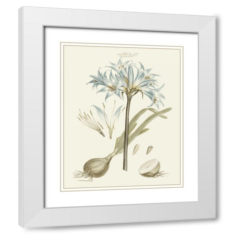 Bashful Blue Florals II White Modern Wood Framed Art Print with Double Matting by Miller, John
