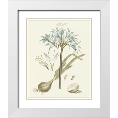 Bashful Blue Florals II White Modern Wood Framed Art Print with Double Matting by Miller, John