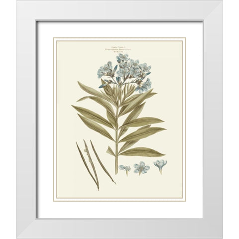 Bashful Blue Florals III White Modern Wood Framed Art Print with Double Matting by Miller, John