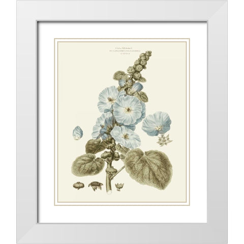 Bashful Blue Florals IV White Modern Wood Framed Art Print with Double Matting by Miller, John