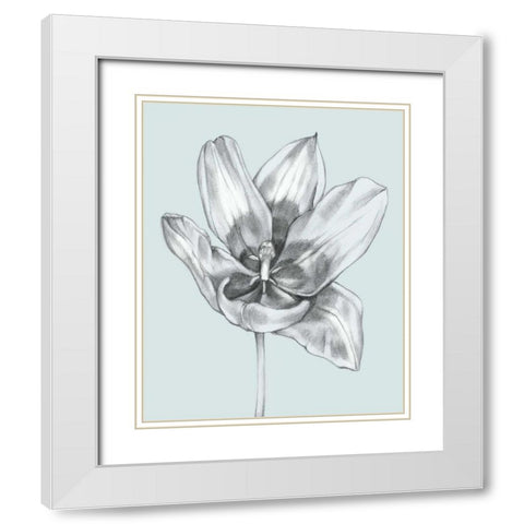 Silvery Blue Tulips II White Modern Wood Framed Art Print with Double Matting by Goldberger, Jennifer