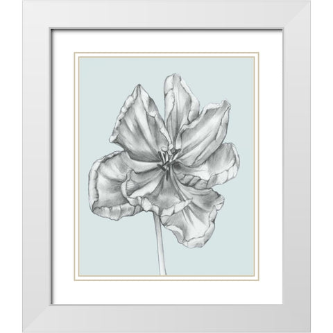 Silvery Blue Tulips IV White Modern Wood Framed Art Print with Double Matting by Goldberger, Jennifer