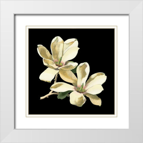 Midnight Magnolias II White Modern Wood Framed Art Print with Double Matting by Chabal Dussurgey