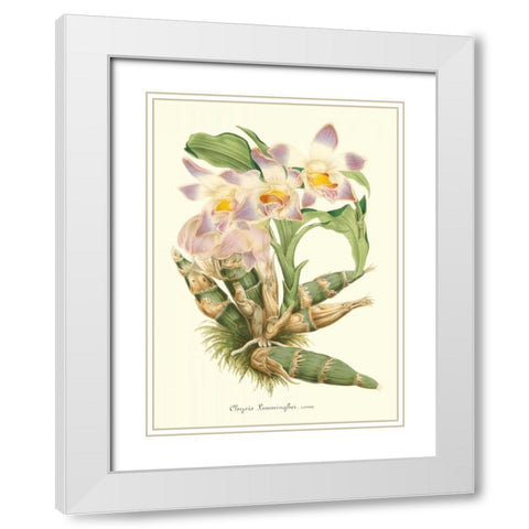 Lavender Orchids I White Modern Wood Framed Art Print with Double Matting by Stroobant, P.