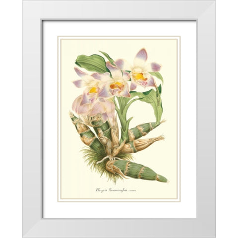 Lavender Orchids I White Modern Wood Framed Art Print with Double Matting by Stroobant, P.