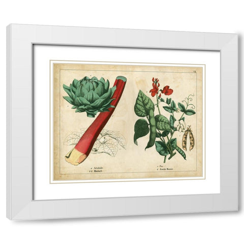 Kitchen Vegetables and Roots II White Modern Wood Framed Art Print with Double Matting by Unknown