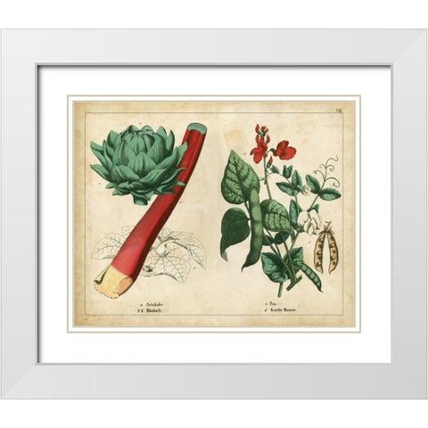 Kitchen Vegetables and Roots II White Modern Wood Framed Art Print with Double Matting by Unknown