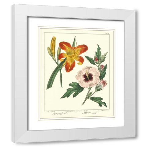 Gardeners Delight IV White Modern Wood Framed Art Print with Double Matting by Edwards, Sydenham