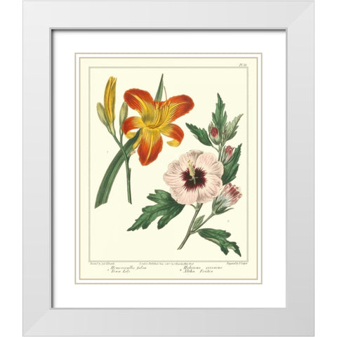 Gardeners Delight IV White Modern Wood Framed Art Print with Double Matting by Edwards, Sydenham