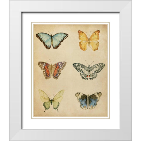 Butterfly Varietal I White Modern Wood Framed Art Print with Double Matting by Meagher, Megan