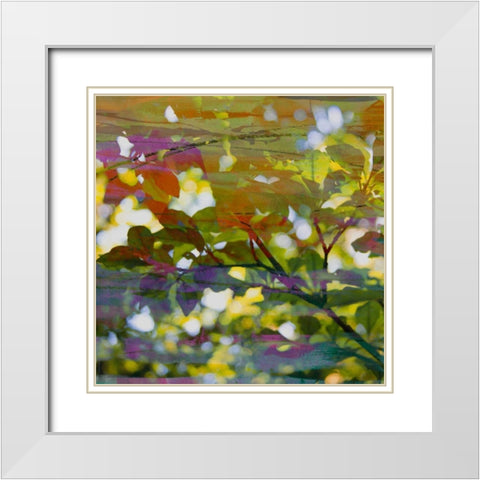 Abstract Leaf Study II White Modern Wood Framed Art Print with Double Matting by Jasper, Sisa