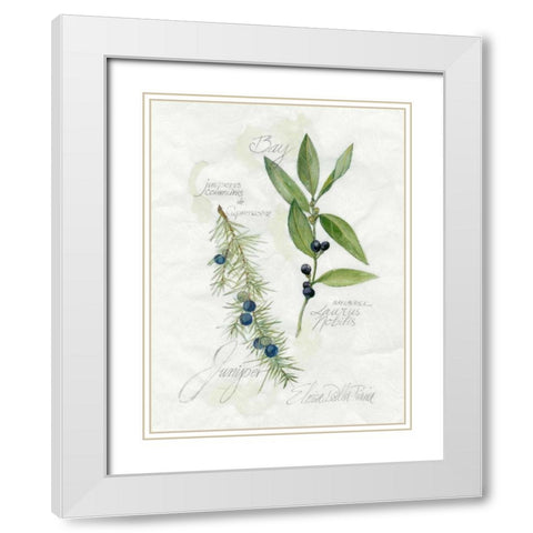 Bay Leaf and Juniper White Modern Wood Framed Art Print with Double Matting by Della-Piana, Elissa