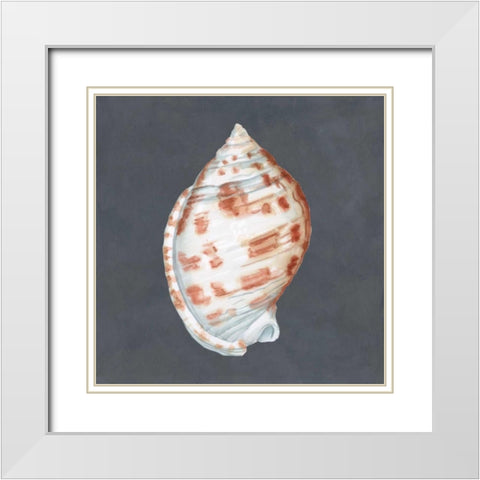 Shell on Slate I White Modern Wood Framed Art Print with Double Matting by Meagher, Megan