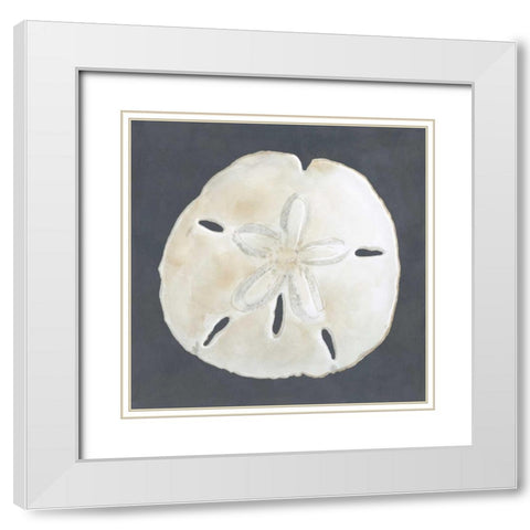 Shell on Slate II White Modern Wood Framed Art Print with Double Matting by Meagher, Megan