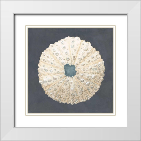Shell on Slate VII White Modern Wood Framed Art Print with Double Matting by Meagher, Megan