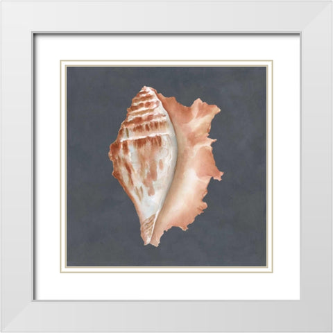 Shell on Slate IX White Modern Wood Framed Art Print with Double Matting by Meagher, Megan