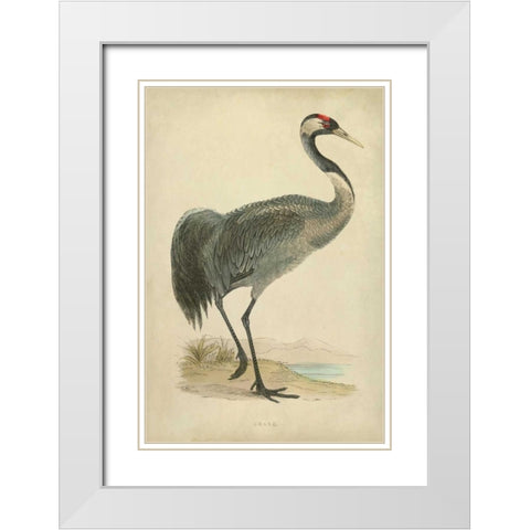 Morris Crane I White Modern Wood Framed Art Print with Double Matting by Morris