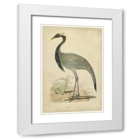 Morris Crane II White Modern Wood Framed Art Print with Double Matting by Morris