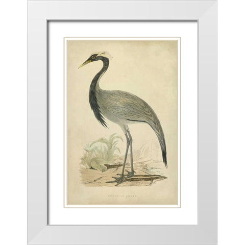 Morris Crane II White Modern Wood Framed Art Print with Double Matting by Morris
