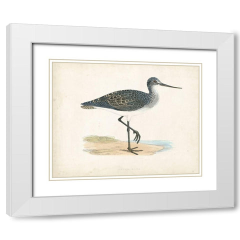 Morris Sandpiper III White Modern Wood Framed Art Print with Double Matting by Morris
