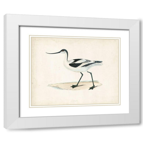 Morris Sandpiper IV White Modern Wood Framed Art Print with Double Matting by Morris