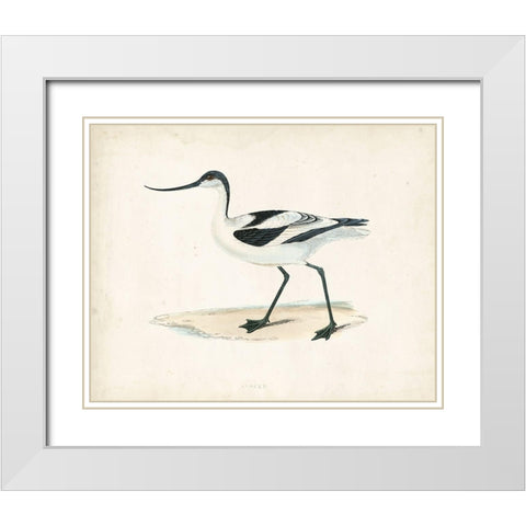 Morris Sandpiper IV White Modern Wood Framed Art Print with Double Matting by Morris