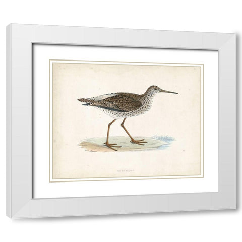 Morris Sandpiper V White Modern Wood Framed Art Print with Double Matting by Morris