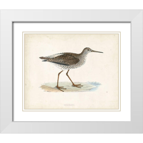 Morris Sandpiper V White Modern Wood Framed Art Print with Double Matting by Morris