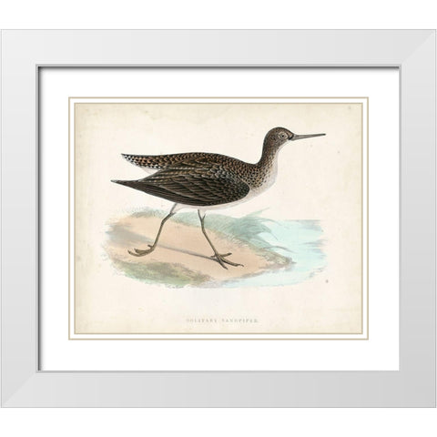 Morris Sandpiper VII White Modern Wood Framed Art Print with Double Matting by Morris