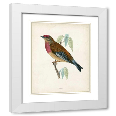 Morris Linnet White Modern Wood Framed Art Print with Double Matting by Morris