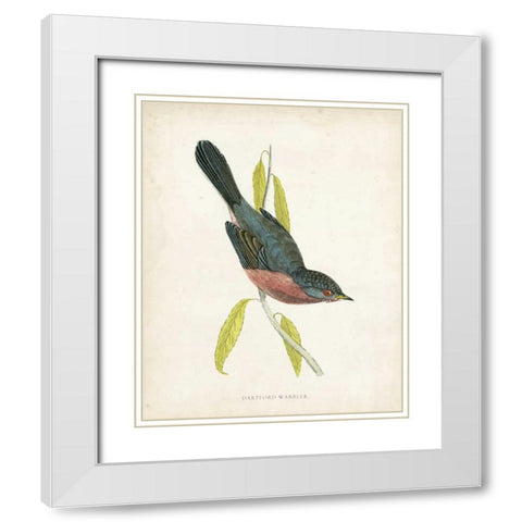 Morris Dartford Warbler White Modern Wood Framed Art Print with Double Matting by Morris