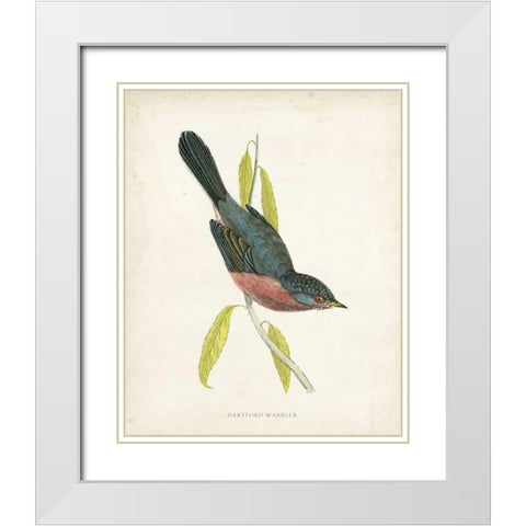 Morris Dartford Warbler White Modern Wood Framed Art Print with Double Matting by Morris