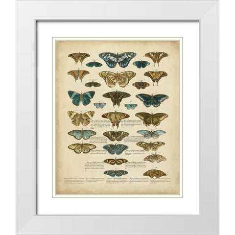 Tabula de Papilio White Modern Wood Framed Art Print with Double Matting by Sloan