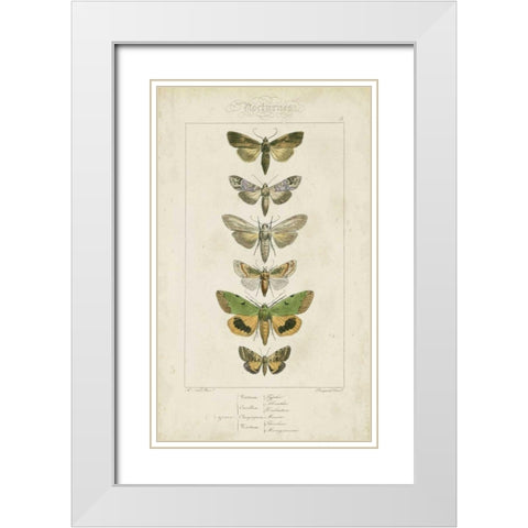 Pauquet Butterflies III White Modern Wood Framed Art Print with Double Matting by Pauquet
