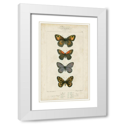 Pauquet Butterflies V White Modern Wood Framed Art Print with Double Matting by Pauquet