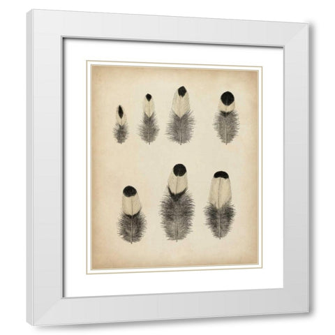 Vintage Feathers II White Modern Wood Framed Art Print with Double Matting by Unknown