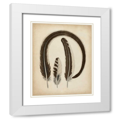 Vintage Feathers III White Modern Wood Framed Art Print with Double Matting by Unknown