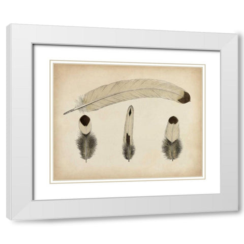 Vintage Feathers V White Modern Wood Framed Art Print with Double Matting by Unknown