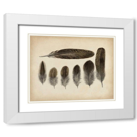 Vintage Feathers VI White Modern Wood Framed Art Print with Double Matting by Unknown