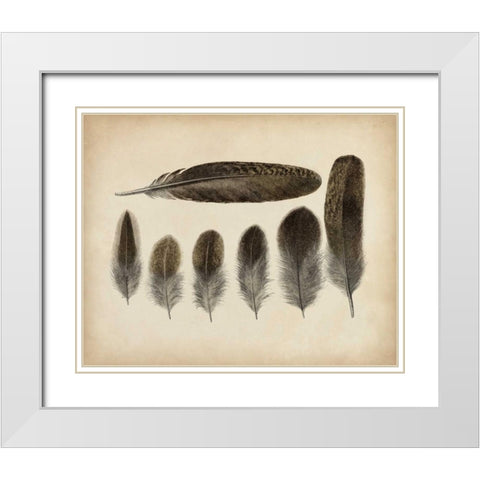 Vintage Feathers VI White Modern Wood Framed Art Print with Double Matting by Unknown