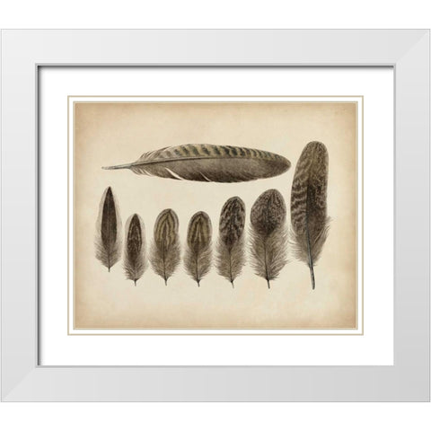 Vintage Feathers VIII White Modern Wood Framed Art Print with Double Matting by Unknown